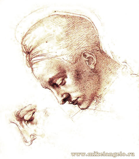 Рисунок женской головы. Микеланджело / www.mikelangelo.ru