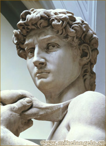 Голова Давида. Мраморная статуя. Фрагмент. Микеланджело / www.mikelangelo.ru